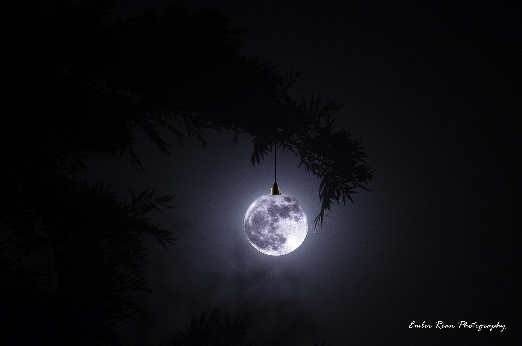 Inland Empire Fine Art Photography - Christmas Night.jpg